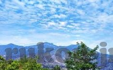 14场足球比分即时比分-解锁足球激情，14场足球比分即时比分，球迷的狂欢盛宴