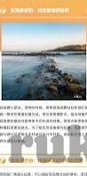足球比分0雷速-足球比分0雷速，数据背后的冷思考与足球运动的真谛探寻